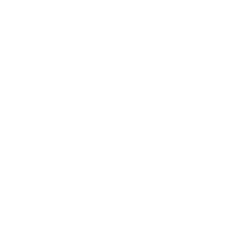 lightening icon